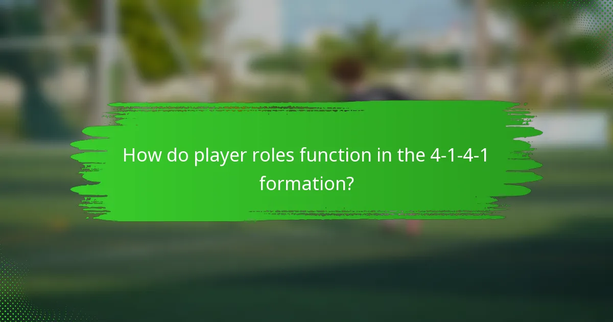 How do player roles function in the 4-1-4-1 formation?
