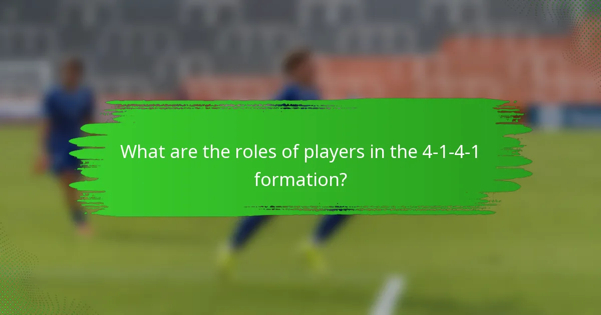 What are the roles of players in the 4-1-4-1 formation?
